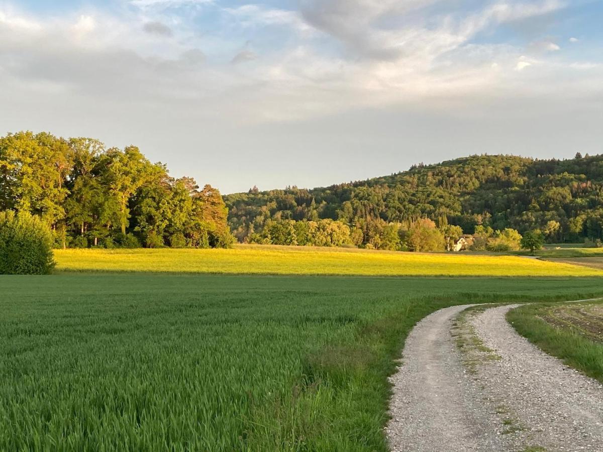 Buesingen Am Hochrhein Radfahren, Wandern, Natur Geniessen Apartamento Exterior foto