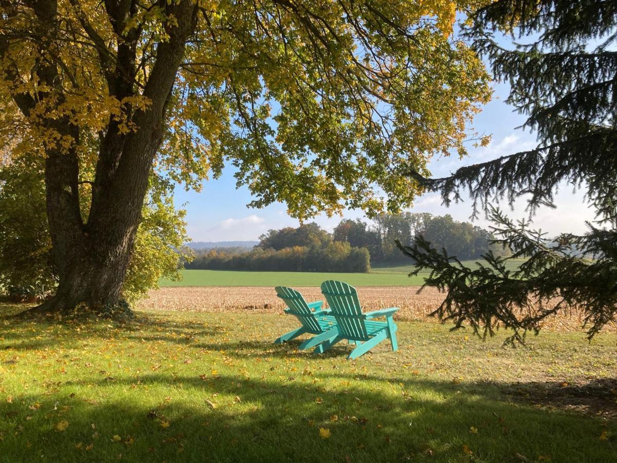 Buesingen Am Hochrhein Radfahren, Wandern, Natur Geniessen Apartamento Exterior foto